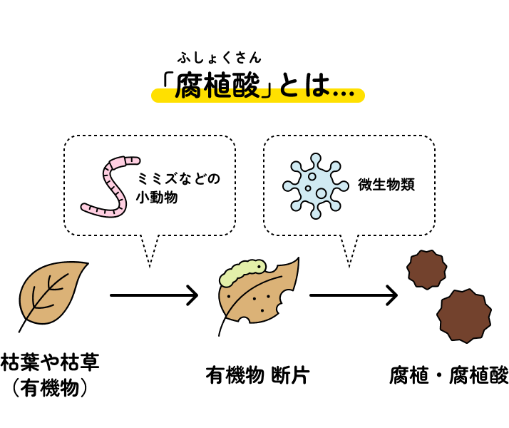 「腐植酸」とは…
