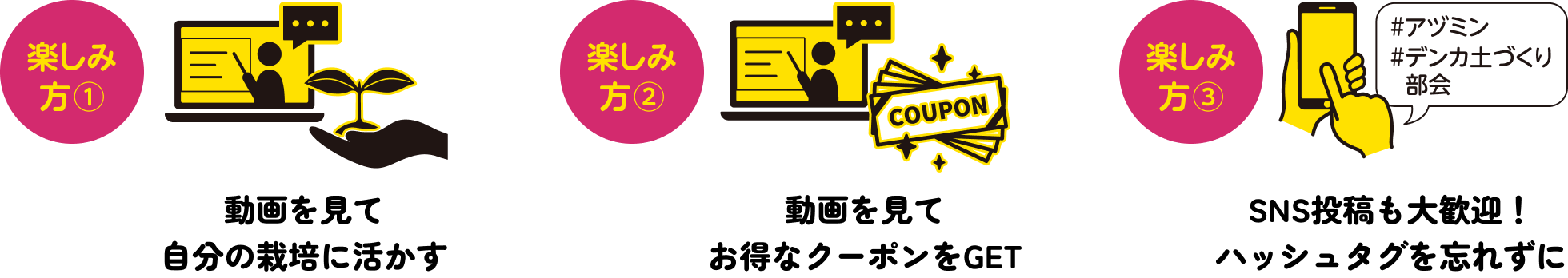 楽しみ方