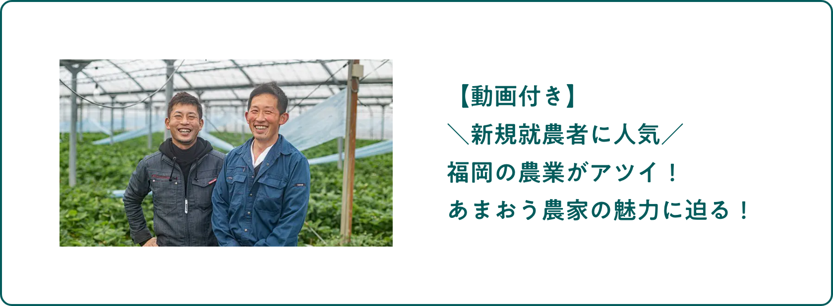 【動画付き】＼新規就農者に人気／ 福岡の農業がアツイ！あまおう農家の魅力に迫る！