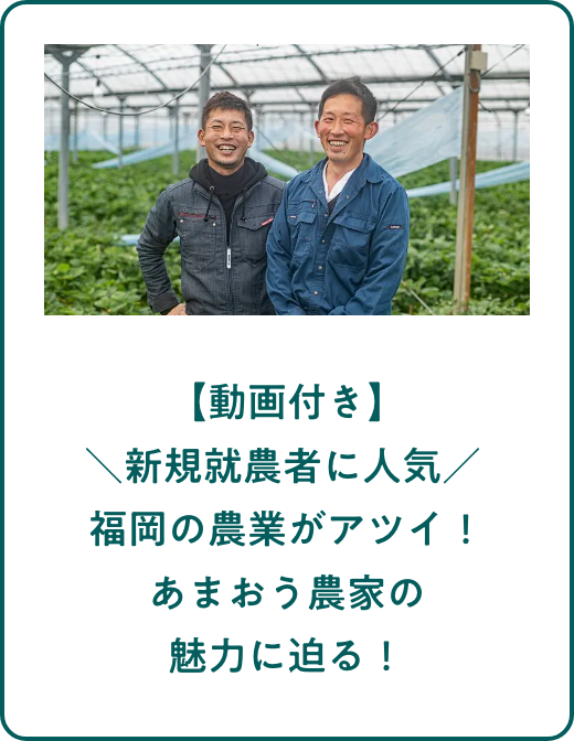 【動画付き】＼新規就農者に人気／ 福岡の農業がアツイ！あまおう農家の魅力に迫る！