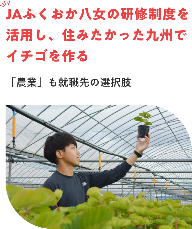 JAふくおか八女の研修制度を活用し、住みたかった九州でイチゴを作る　「農業」も就職先の選択肢