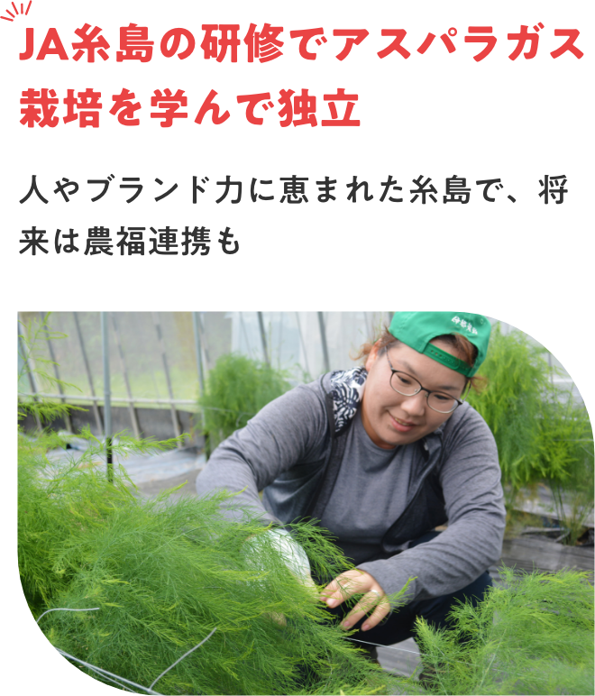 JA糸島の研修でアスパラガス栽培を学んで独立　人やブランド力に恵まれた糸島で、将来は農福連携も
