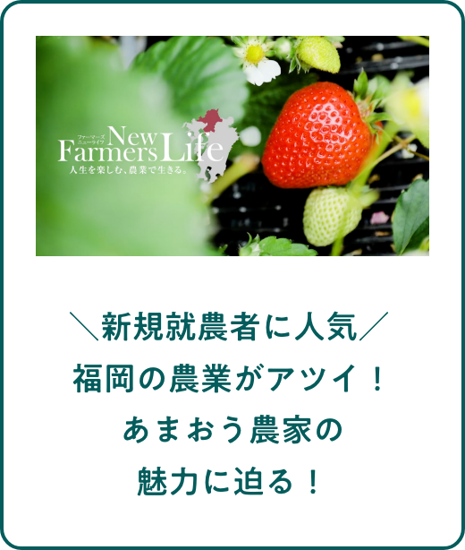 ＼新規就農者に人気／ 福岡の農業がアツイ！あまおう農家の魅力に迫る！