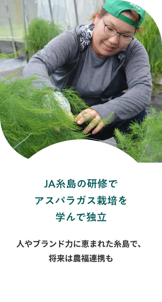 JA糸島の研修でアスパラガス栽培を学んで独立 人やブランド力に恵まれた糸島で、将来は農福連携も