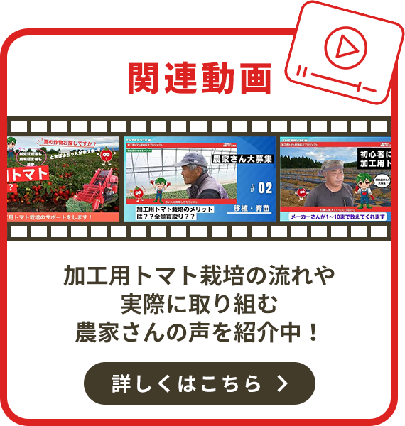 関連動画