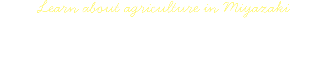 Learn about agriculture in Miyazaki宮崎の農業を知りたい！