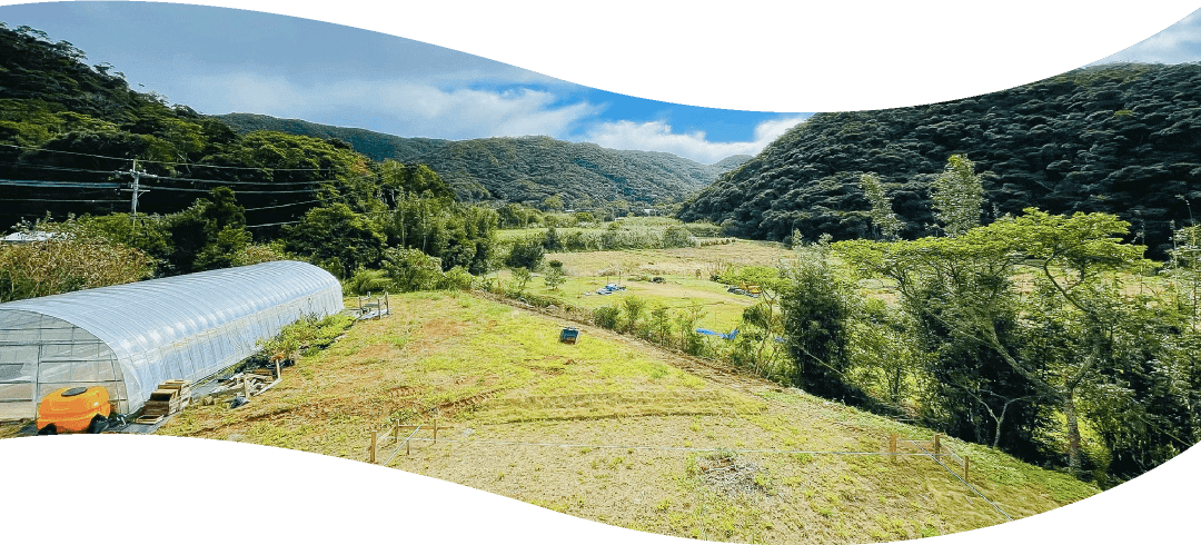 ビニールハウスと畑の風景