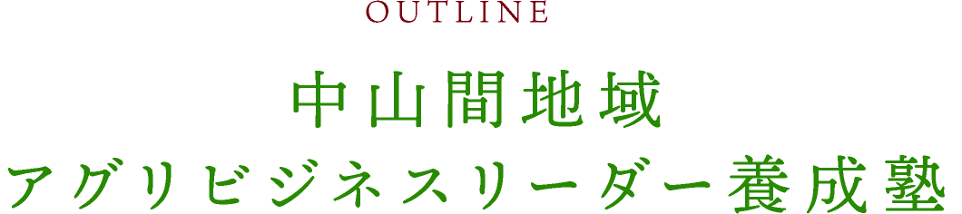OUTLINE 研修概要