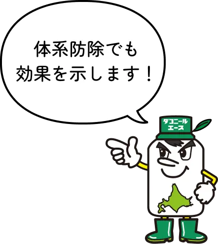 キャラクター