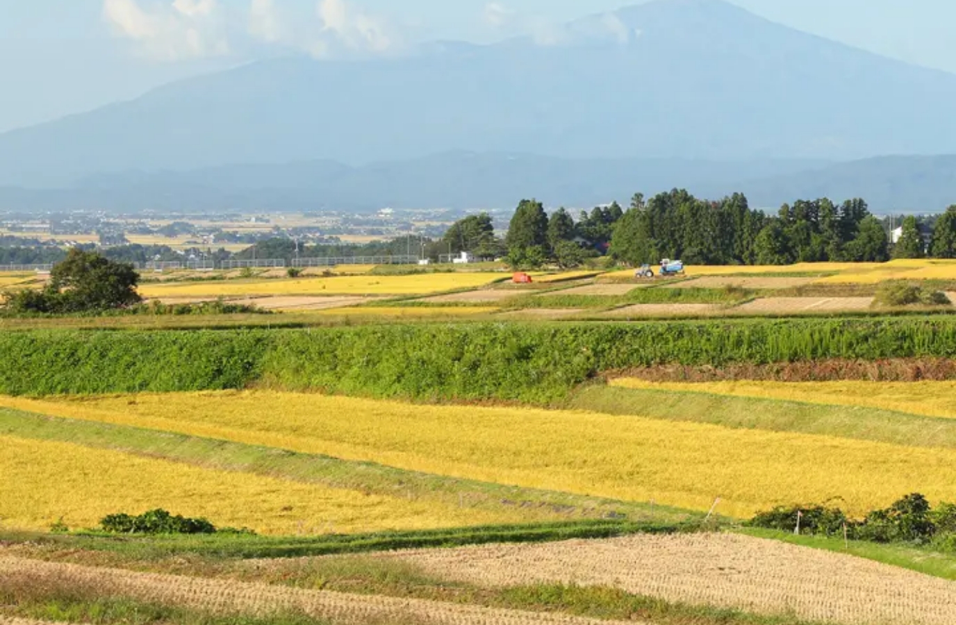 人口およそ13万人の鶴岡市には日本有数の穀倉地帯、庄内平野が広がる