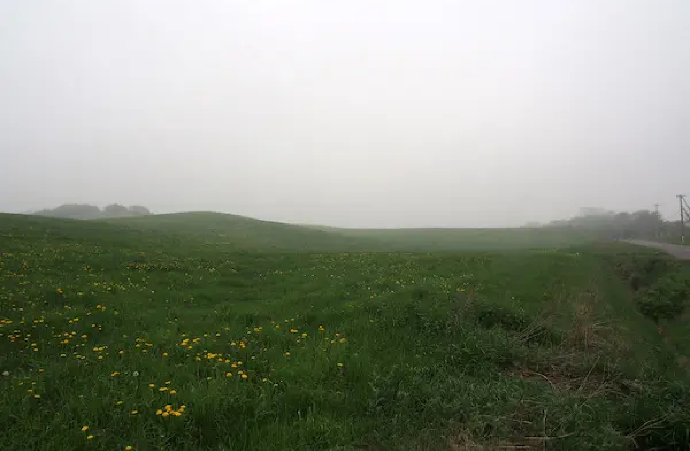 丘の向こうはずっと霧