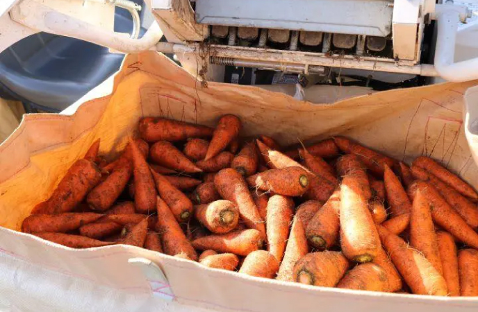 土づくりのための資材をメーカーに提案する“知恵と工夫”の農家