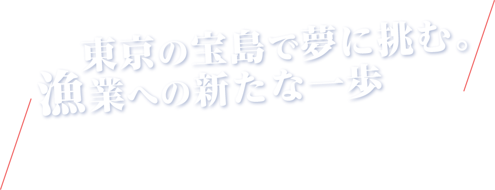 東京の宝島で夢に挑む。漁業への新たな一歩