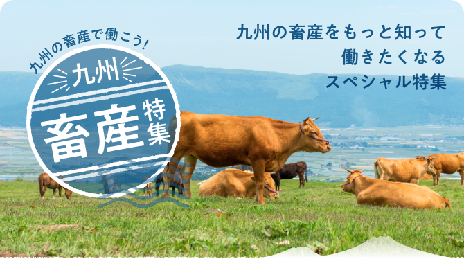 九州の畜産で働こう！九州畜産特集