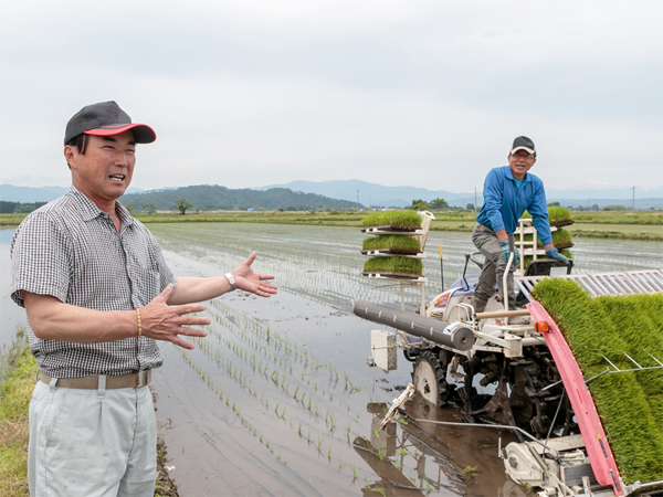 有機米こそ、味！ “選ばれる農業”を実践する上和田有機米生産組合の田植えに密着