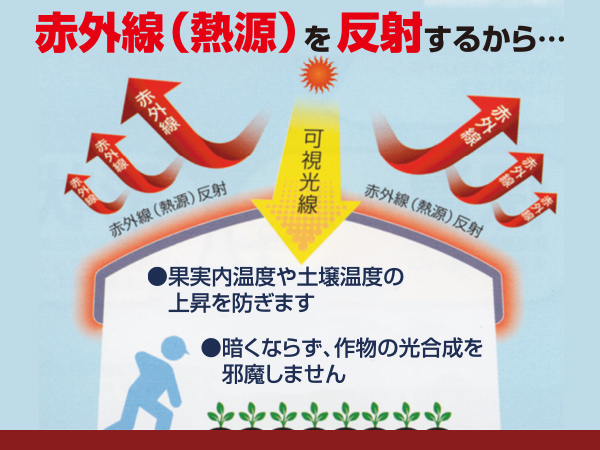 高温対策に遮熱資材『明涼』