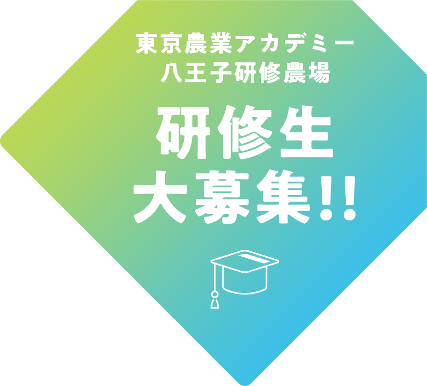 東京農業アカデミー八王子研修農場|研修生大募集!!