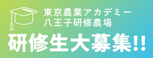 東京農業アカデミー八王子研修農場|研修生大募集!!