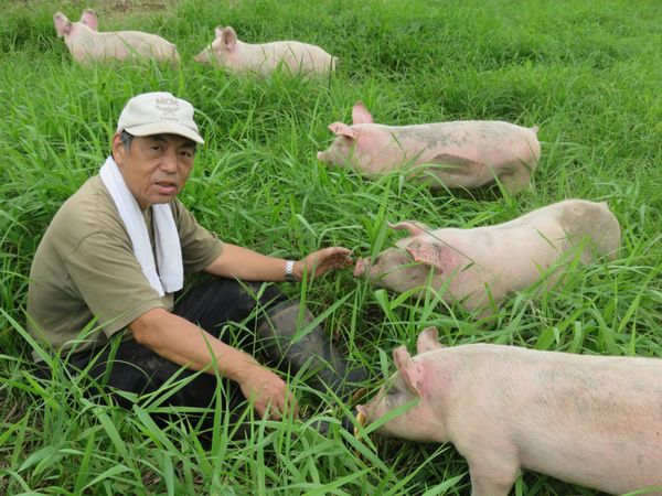 「動物と自然に暮らす牧場を作りたい」遊牧舎 秦牧場の放牧養豚【ファームジャーニー ：北海道十勝】