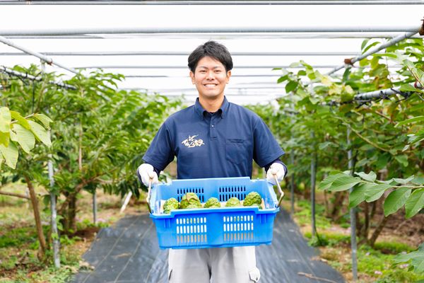 Facebookで売上が218％に「沖縄かんな農園の事例」【農家のSNS活用法vol.1】