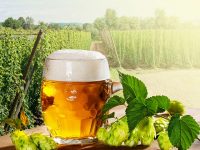 農作業のためのビール？！「セゾンビール」の歴史と魅力に迫る