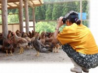 VRで農場体験！「塚田農場」でアルバイト従業員の研修プログラムを開始