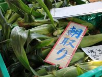 競りがこだわりの野菜を支える【市場に行こう！鎌倉青果地方卸売市場】