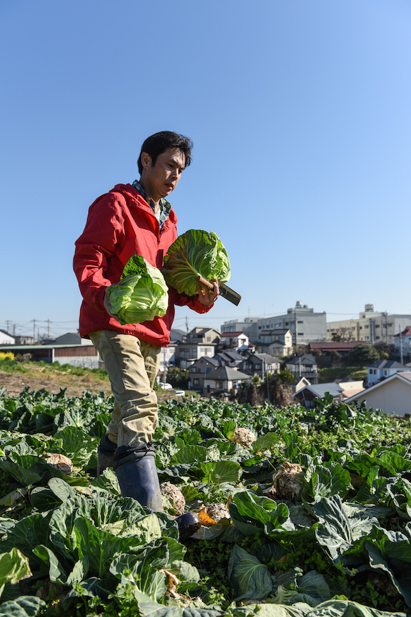 「苅部大根」を生んだ横浜の13代目農家
