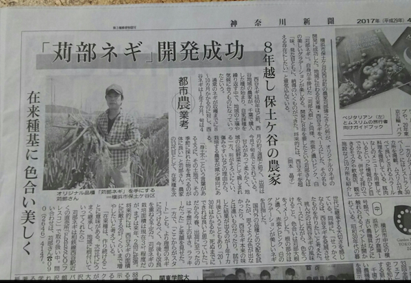 「苅部大根」を生んだ横浜の13代目農家