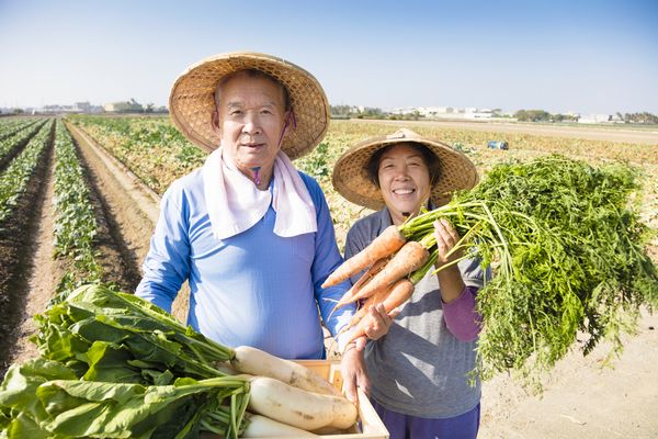 男性の自営農業従事者の寿命は8.2歳も長い