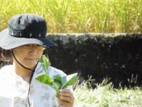 20代で就農 山梨県の女性専業農業家【ファーマーズファイル：羽野幸】
