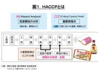 JGAP・HACCPの基礎知識
