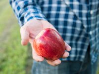 リンゴの有機栽培を実現するための親子二代の挑戦 ～100年後も続く果樹園を作る～