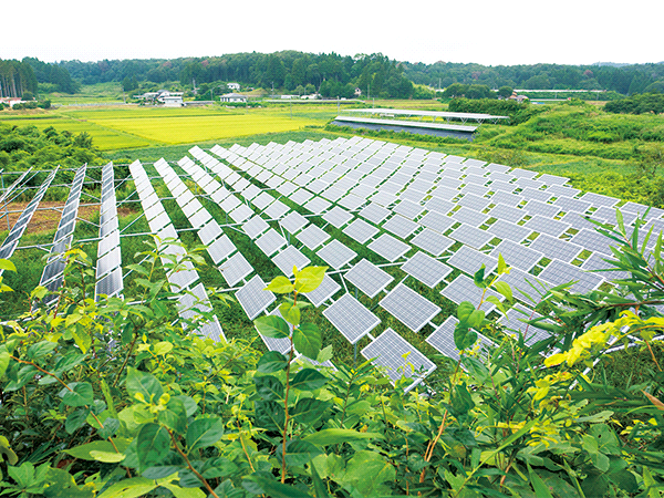 全国1,000人の農家が始めている「ソーラーシェアリング」のメリット