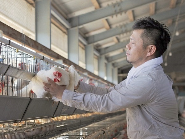 卵とプリンで年間売上5000万円　純国産ヒヨコを育てるカリスマ養鶏家３つのブランド術