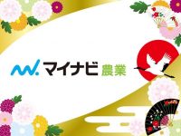 新年のご挨拶　＆　月間100万PV達成の御礼