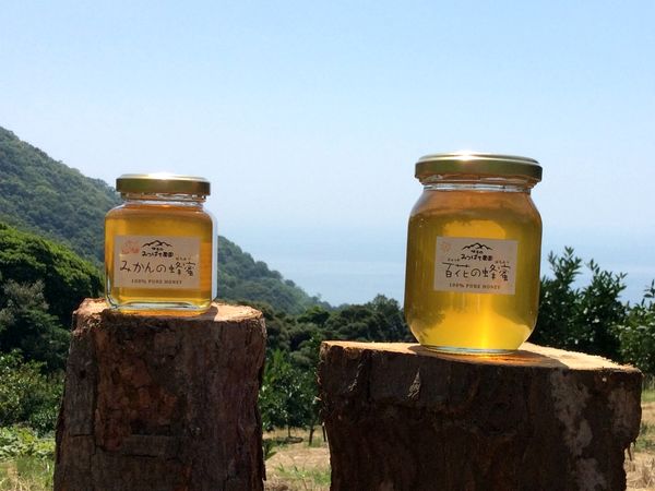 熱海と小笠原をつなぐ「非加熱・減農薬のローハニー」を作る養蜂家