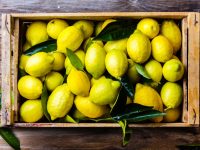 風邪予防や疲労回復に！　レモンとライムの保存法・栄養【野菜と果物ガイド】