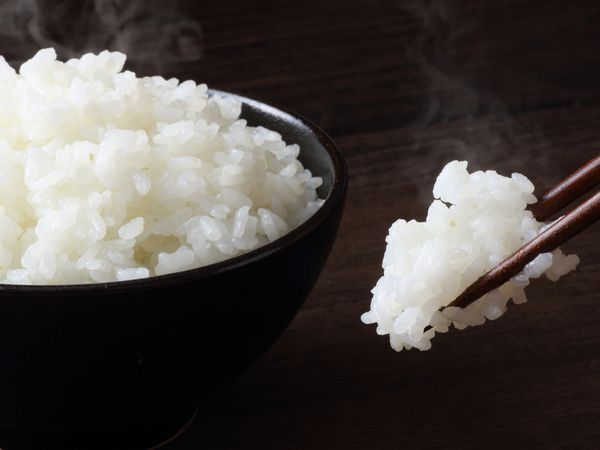 日本人の米離れを食い止める 少量短時間で炊ける「10分ごはん」