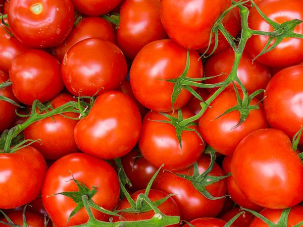 鮮度の良いトマトの見分け方