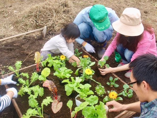 種まき後の水やりは間違い 野菜づくりの新常識 畑は小さな大自然vol 1 マイナビ農業