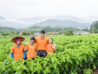10万本の桑で、過疎集落を再生する！韓国人青年の熱き志