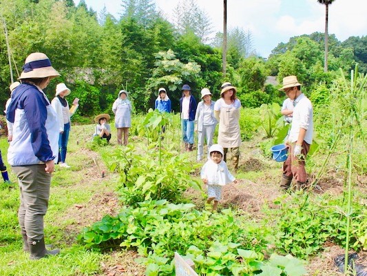 梅雨は畑仕事のヤマ コツを知って乗り越えよう 畑は小さな大自然vol 3 マイナビ農業