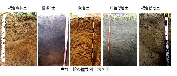 儲かる農業 農地を見極め 適地適作 土壌 と 土性 を活かす農作物の選び方