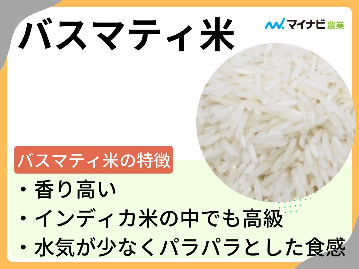 バスマティ米って？日本米（ジャポニカ米）との違い・バスマティライスのおいしい調理方法など紹介