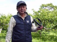 IoTを駆使した柿栽培への挑戦【富有柿農家のスマートグラス活用日記】