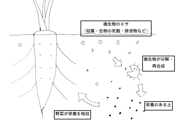 水もちが良くて土の入れ替え不要 生きてるプランターの作り方 畑は小さな大自然vol 10