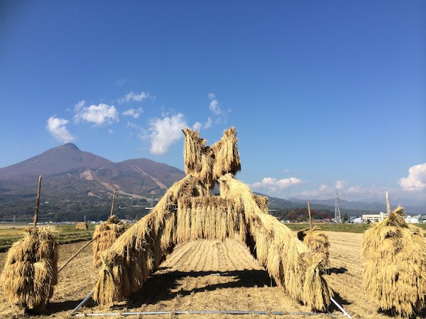 稲刈り後の田んぼにたたずむ 農民藝術