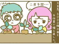 漫画「宮崎に移住した農家の嫁日記」【第30話】手抜き定植