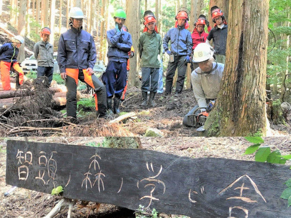 鳥取の若手林業集団「智頭ノ森ノ学ビ舎」美しい山を継ぐ試み【林業を知ろう】